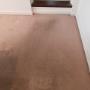Carpet before cleaning