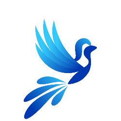 Harmony Digital Web Design