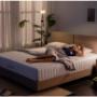 Mattress Bed