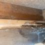 Termite Damage discovered during a Building and Pest Inspection