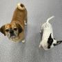 Frankie and Oreo