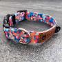 dog collars