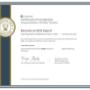 Become An SEO Expert