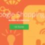 Google Ads Shopping Management