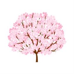 Sakura Child Counselling and Play Therapy