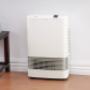 Rinnai Energysaver Gas Flued Heater