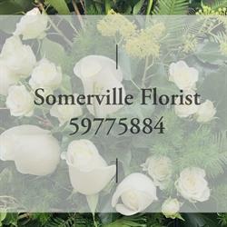 Somerville Florist