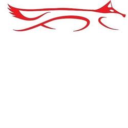 Red Fox Business Solutions