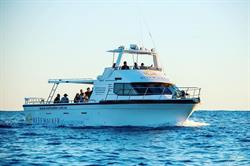 Reefwalker Ocean Discovery