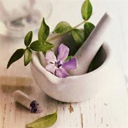CK Naturopathy