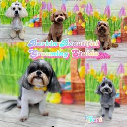 Barkin Beautiful Grooming Studio & Playgroup