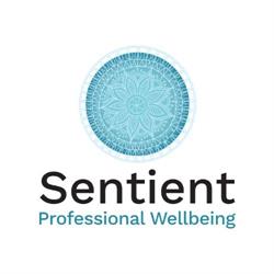 The Centre For Professional Wellbeing