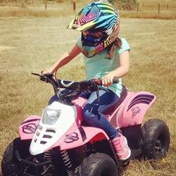 Van Diemen Dirt Bikes