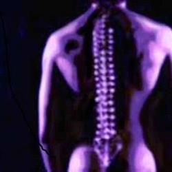 Loadsman Chiropractic and Osteopathy Lismore