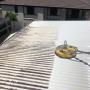 Roof cleaning