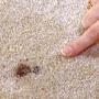 Fix Carpet Holes