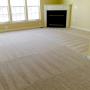 Carpet Stain Removal