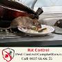 pest control