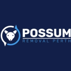 Possum Removal Perth