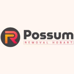 Possum Removal Hobart