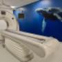 Panorama Low Dose CT Scanner with Moby the Humpback