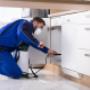 Emergency Pest Controls