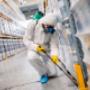 Residential Pest Inspection Treatments