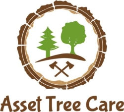 Asset Tree Care