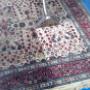 Rons Rug Cleaning Adelaide