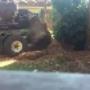 Residential & Commercial Tree Removal