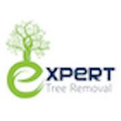 Expert Tree Removal