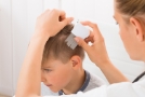 Lousy solution Lice treatment