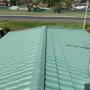 Roof Painting