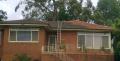Roof Cleaning and the Importance a well maintained roof