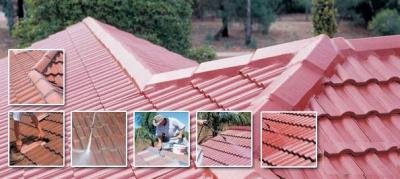Roof-Restoration