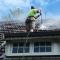 roof-cleaning