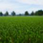 Artificial Turf
