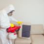 Green Pest Control Sydney