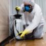 Green Pest Control Sydney