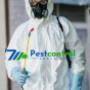 Pest Control Adelaide