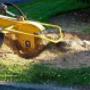 Eco Tree Removal Brisbane