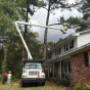 Eco Tree Removal Brisbane
