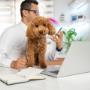 Bell Partners Finance Perth