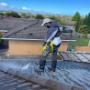 Roof Painting