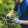 Gardening