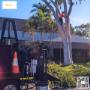 Tree service