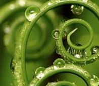 EVOLVE Counselling Gippsland
