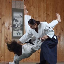 Goshu-ryu Aiki Jujutsu