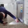On-site pest inspection