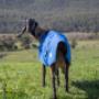 Goat Coats